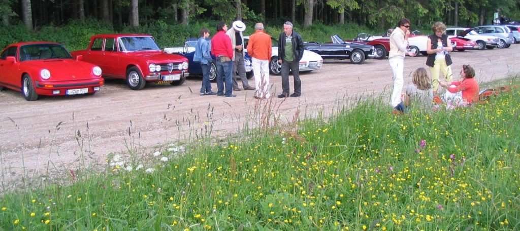 750_17_Pikniik_Wald_Slider